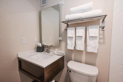 a bathroom with a sink and a toilet and a mirror at Holiday Inn Cleveland-Mayfield by IHG in Mayfield