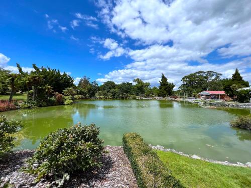 a pond in a park under a blue sky at Parkview Holiday Homes "Opposite of Famous Kuirau Park" in Rotorua