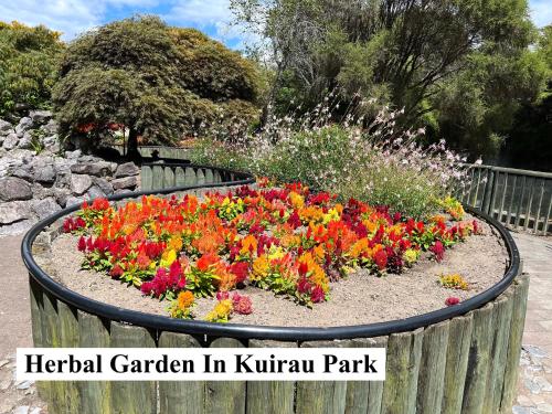 a garden in a park with the words herbal garden in kirill park at Parkview Holiday Homes "Opposite of Famous Kuirau Park" in Rotorua