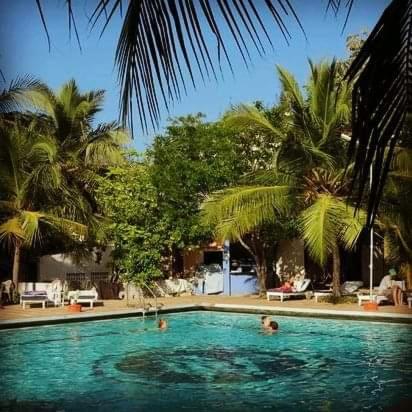 a swimming pool with people in it with palm trees at Sea Breeze Beach Resort in Mahabalipuram