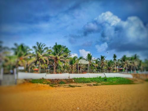 vistas a una playa con palmeras y a un edificio en Sea Breeze Beach Resort, en Mahabalipuram