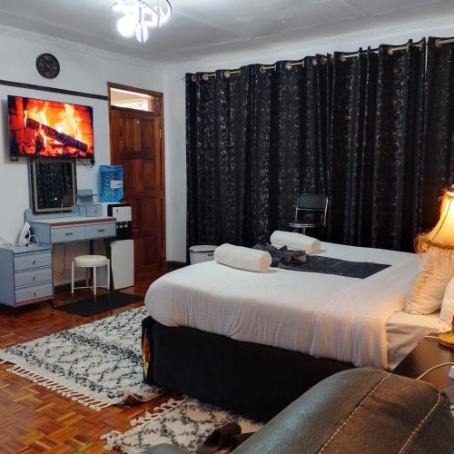 a bedroom with a large bed and a television at Dylan Executive 1 Bedroom Apartment in Nakuru