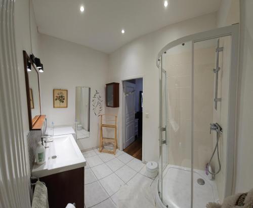 a bathroom with a shower and a sink at Le Pasteur in Dijon