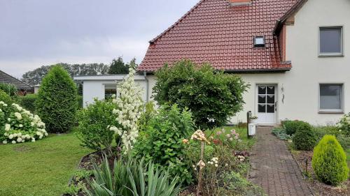 un jardin en face d'une maison blanche dans l'établissement Ferienwohnung im Zanderhaus, à Sabel