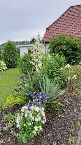 un jardín con flores y plantas en un patio en Ferienwohnung im Zanderhaus, en Sabel