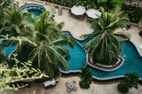 an overhead view of a swimming pool with palm trees at Hotel Vellita Siem reap in Siem Reap