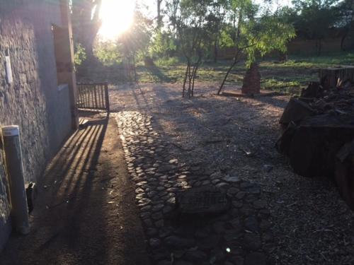 Κήπος έξω από το Damascus Bush Lodge