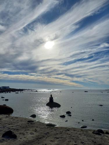 a person sitting on a rock in the water at Tern Beach Studio in Jacobs Bay