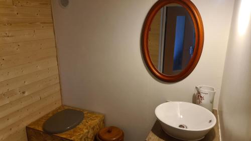 a bathroom with a toilet and a sink and a mirror at Chambre à la ferme, les vergers du Muscardin in Bréel
