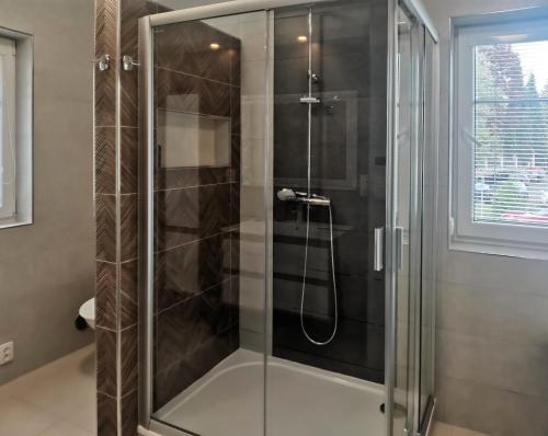 a shower with a glass door in a bathroom at APARTMÁN POHODA in Svatava