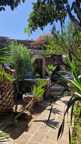 a garden with a building with flowers and plants at I Dammusi di Punta Karace in Tracino