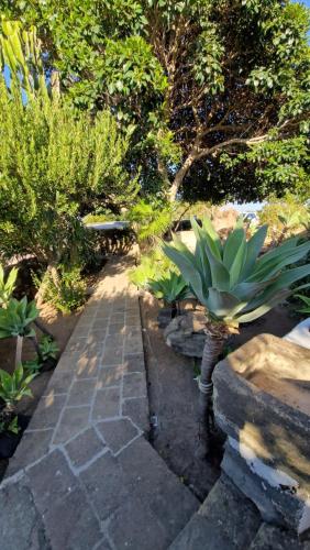 a garden with a stone walkway with plants and trees at I Dammusi di Punta Karace in Tracino