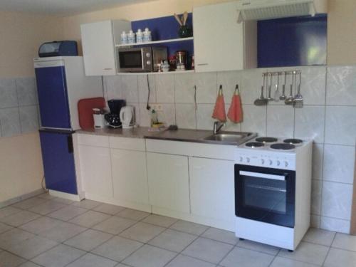 a small kitchen with a stove and a sink at Apartments zum Brauergang in Garz