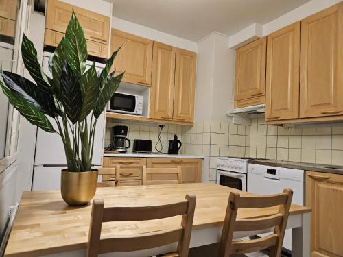 a kitchen with a wooden table with a potted plant at Lapinkatu apartments in Rovaniemi