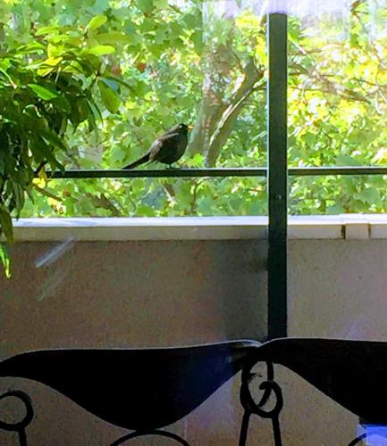 Junior suite avec balcon photo 18