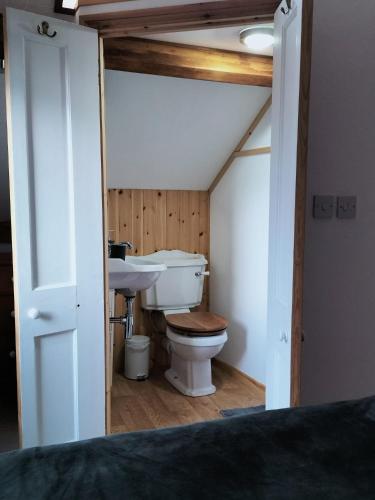 a bathroom with a toilet and a sink at The Cosy Pad Glan Y Morfa Bach in Tywyn