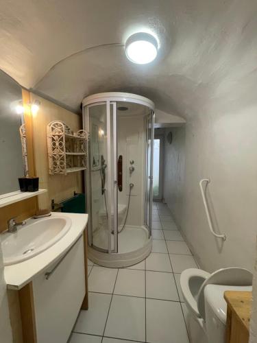 uma casa de banho com um chuveiro e um lavatório. em Les Platanes - Rambrandt Rez de Jardin em Lamalou-les-Bains