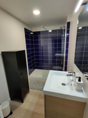 La salle de bains est pourvue d'un lavabo et d'une douche. dans l'établissement Grande Maison Proche Aéroport, à Beauvais