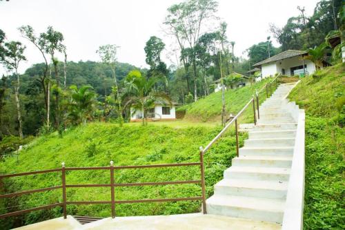 a set of stairs leading up a grassy hill at The Nest bettathur, Coorg in Madikeri