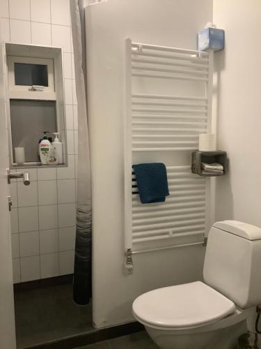 a bathroom with a toilet and a blue towel at The Castle in Búðardalur