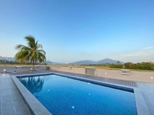 uma piscina com uma palmeira ao fundo em Jasmine Villa em Pantai Cenang
