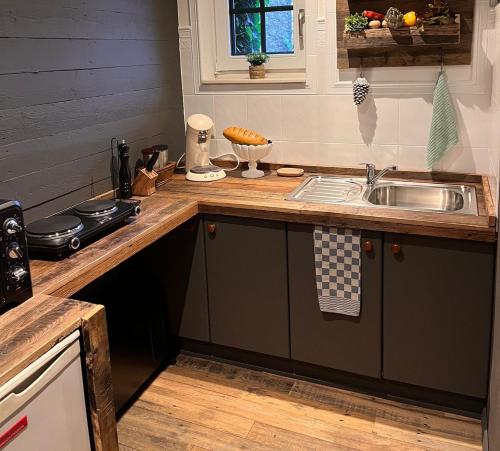 a kitchen with a sink and a counter top at Gîte La Petite Francorchamps Ardennaise in Stavelot