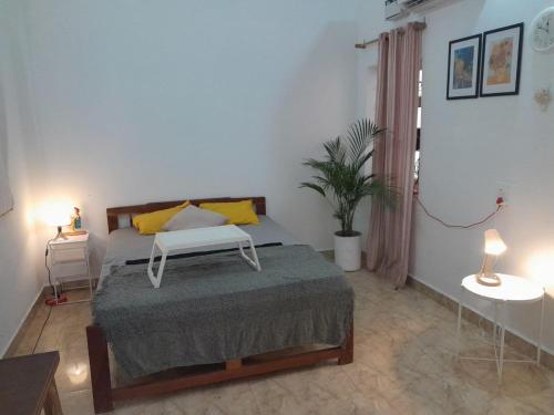 - une chambre avec un lit et des oreillers jaunes dans l'établissement Kiki Peaceful Studios Mandrem, à Mandrem
