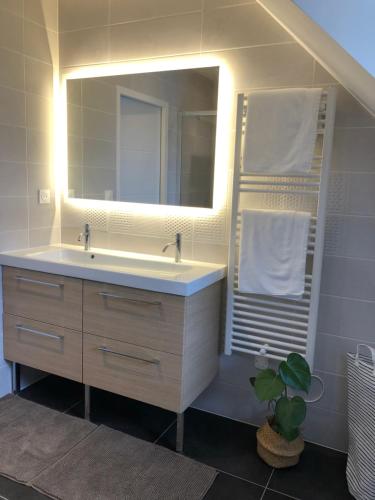 La salle de bains est pourvue d'un lavabo et d'un miroir. dans l'établissement Maison d'exception ~ Vue Mer ~ 100m de la plage, à Camaret-sur-Mer