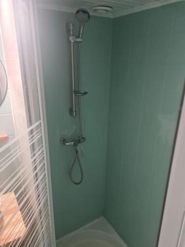 a shower in a bathroom with a glass door at studio centre ville in Privas