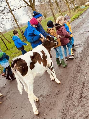 a group of children standing around a cow on a dirt road at De Grote Linde in Oostkamp