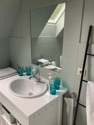 uma casa de banho com um lavatório com óculos azuis em La dreve em Verviers