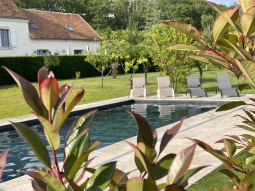une piscine avec des chaises et une maison dans l'établissement Le Verger Des Pierres Blanches, à Mont-près-Chambord