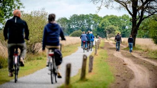 a group of people riding bikes down a path at The Green Cottage in Ruinen