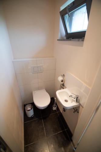 a small bathroom with a toilet and a sink at De Grote Linde in Oostkamp