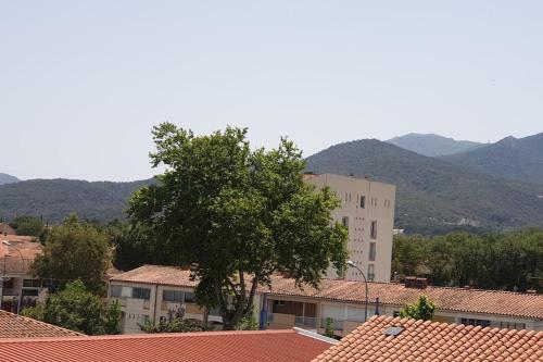 Blick auf eine Stadt mit einem Baum und Gebäuden in der Unterkunft La perle d'honierre in Argelès-sur-Mer