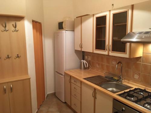 a small kitchen with a sink and a refrigerator at Útulné ubytováni u centra v blízkosti Výstaviště in Brno