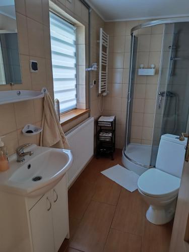 W łazience znajduje się umywalka, toaleta i prysznic. w obiekcie Bogdanówka w Supraślu
