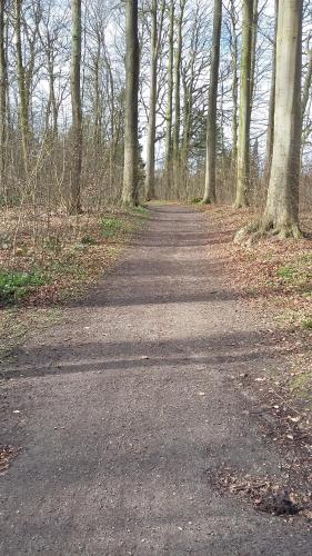 un camino de tierra en una zona boscosa con árboles en Schönes Appartement in ruhiger Lage en Kiel