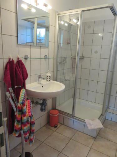 y baño con ducha y lavamanos. en Schönes Appartement in ruhiger Lage en Kiel