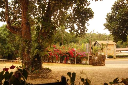 a garden with flowers and a tree in the foreground at Pousada Gruta in Ubajara