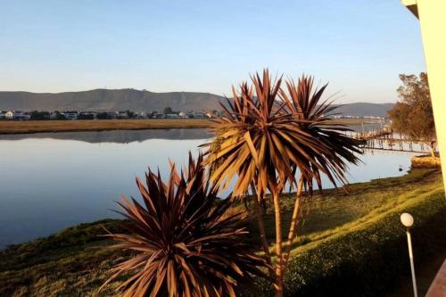 uma palmeira ao lado de um corpo de água em Casa de Pueblo Knysna Views! em Knysna