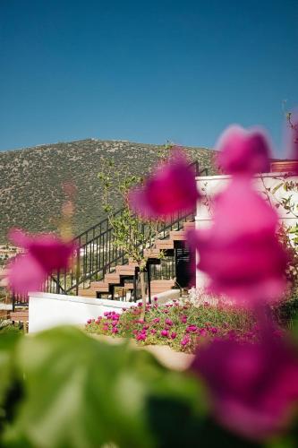 a person walking past a building with pink flowers at Lures Hotel in Kalkan