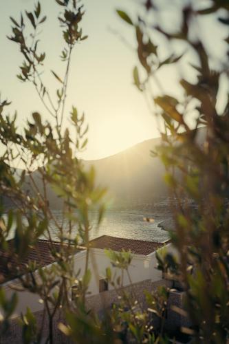 a view of the beach through the trees at Lures Hotel in Kalkan