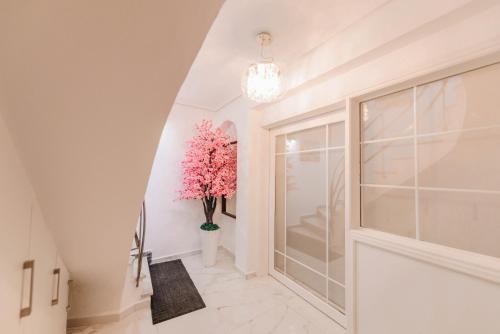 Fotografie z fotogalerie ubytování Sunrise Guesthouse v destinaci Agria