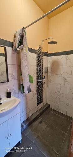 a bathroom with a sink and a shower at Panzio A mi Paradicsomunk in Véménd