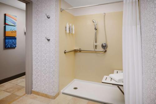 フォート・ローダーデールにあるHampton Inn Ft. Lauderdale-Cypress Creekのバスルーム(シャワー、トイレ付)