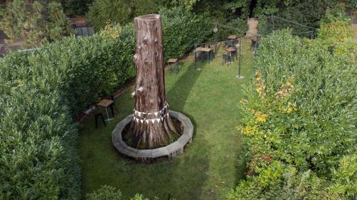 a tree stump in the middle of a garden at DoubleTree by Hilton St. Anne's Manor in Bracknell