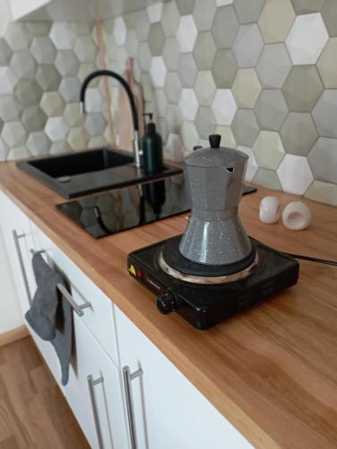 Kuchyňa alebo kuchynka v ubytovaní Apartament nad strumykiem Lądek-Zdrój