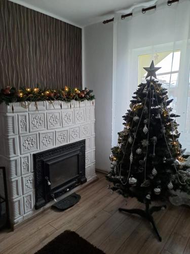a christmas tree in a living room with a fireplace at Casa DucAna in Orşova