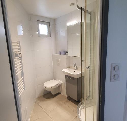 ein Bad mit einem WC, einem Waschbecken und einer Dusche in der Unterkunft studio Les merles à Saint-Égrève in Saint-Égrève
